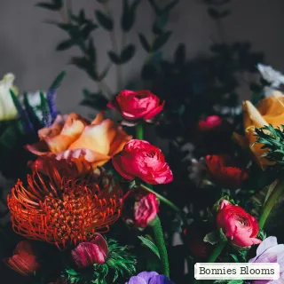 Quietly Beautiful