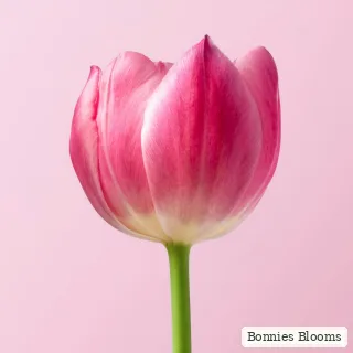 Natural Elegance