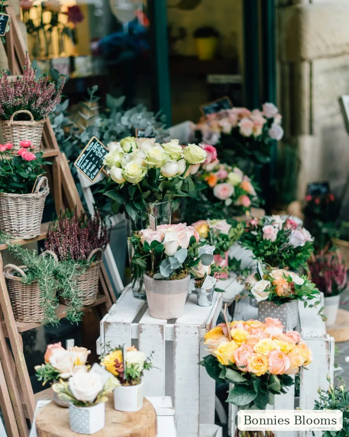 Blush of Spring